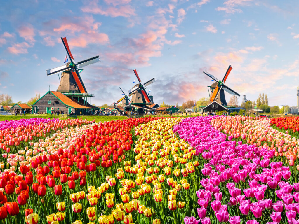PARC FLORAL KEUKENHOF